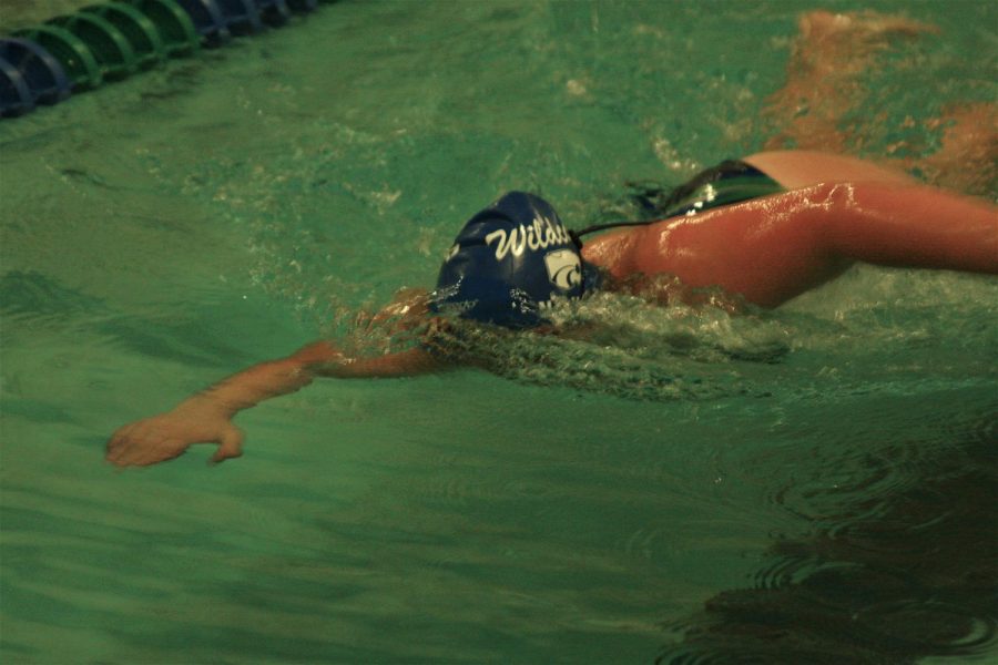 Eagan swimmer