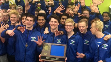Boys swim and dive takes home section champ title for 6th year in a row