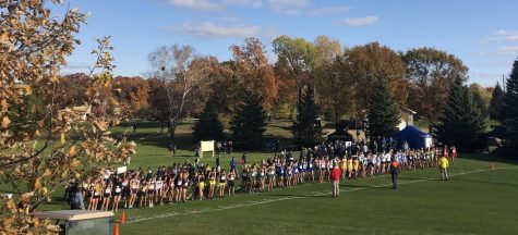 Cross country teams send individuals to state